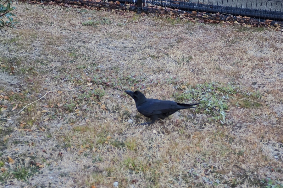 OM SYSTEM OM-5 Mark II + LUMIX G 14mm F2.5 II ASPH