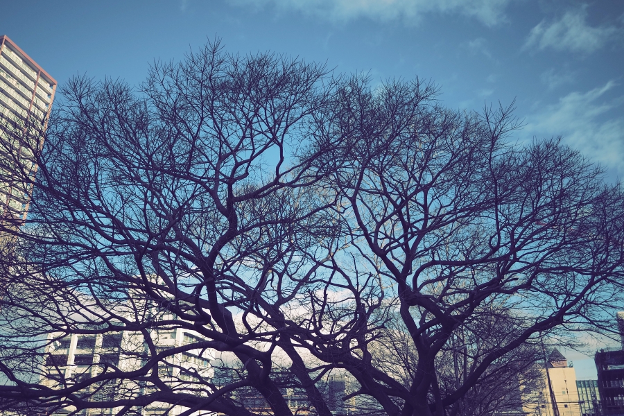 OM SYSTEM OM-5 Mark II + LUMIX G 14mm F2.5 II ASPH