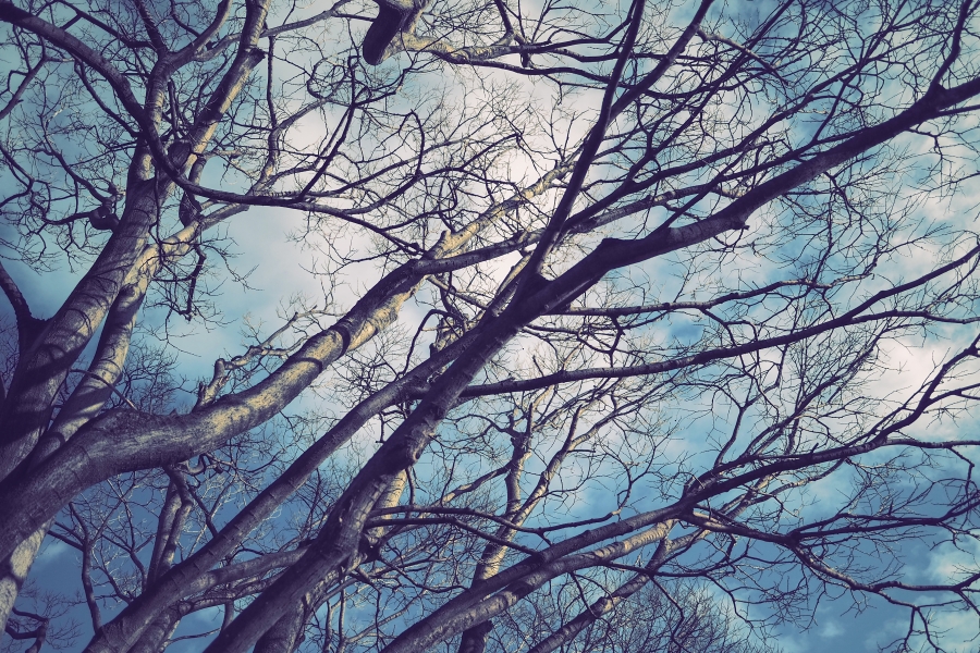 OM SYSTEM OM-5 Mark II + LUMIX G 14mm F2.5 II ASPH