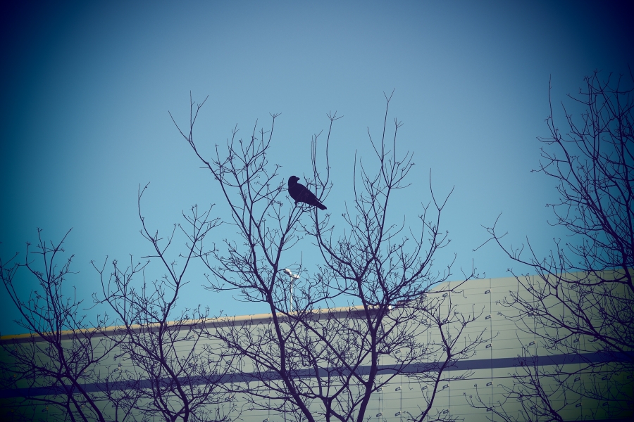 OM SYSTEM OM-3 + M.ZUIKO DIGITAL ED 12-45mm F4.0 PRO