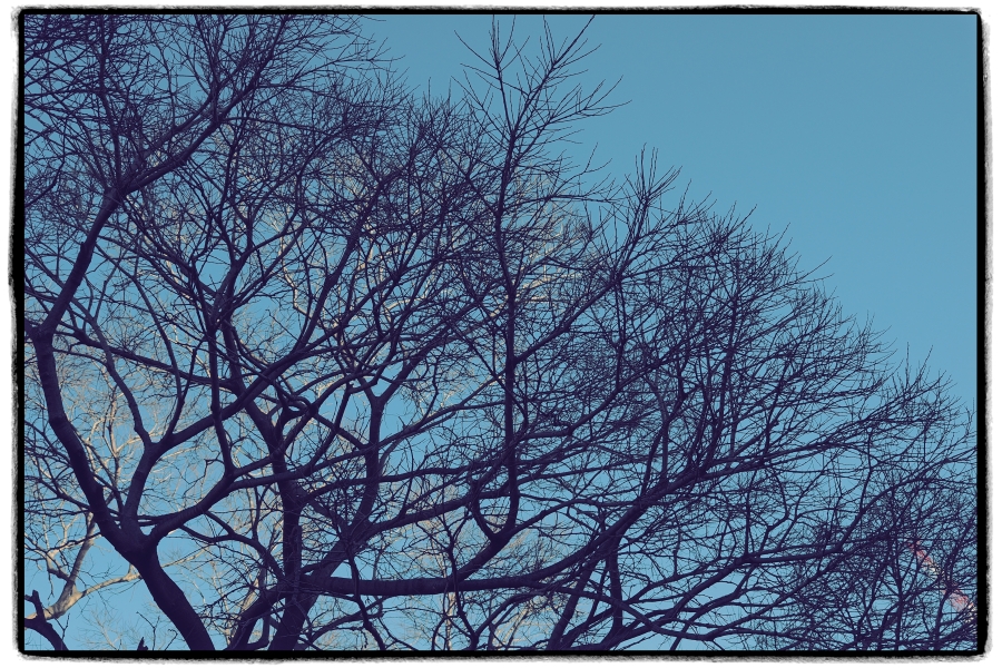 OM SYSTEM OM-3 + M.ZUIKO DIGITAL ED 12-45mm F4.0 PRO