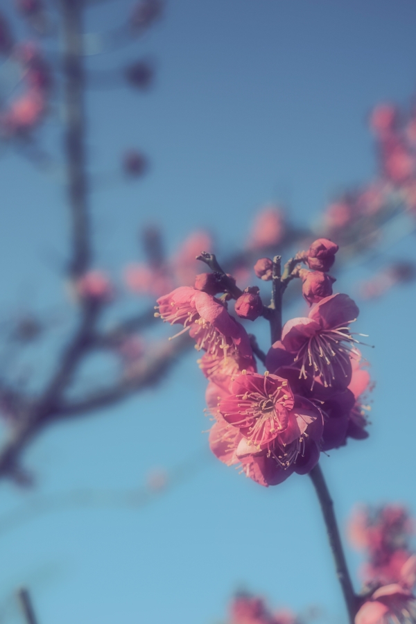 OM SYSTEM OM-3 + M.ZUIKO DIGITAL ED 12-45mm F4.0 PRO