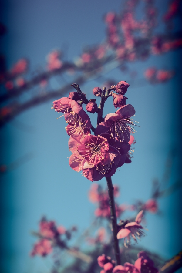 OM SYSTEM OM-3 + M.ZUIKO DIGITAL ED 12-45mm F4.0 PRO