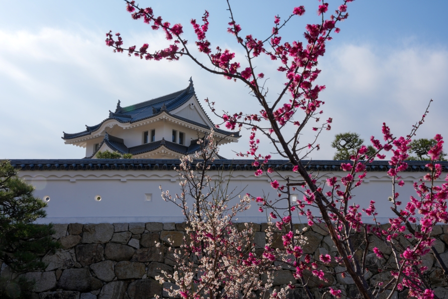 SONY α1 II + FE 24-70mm F2.8 GM II