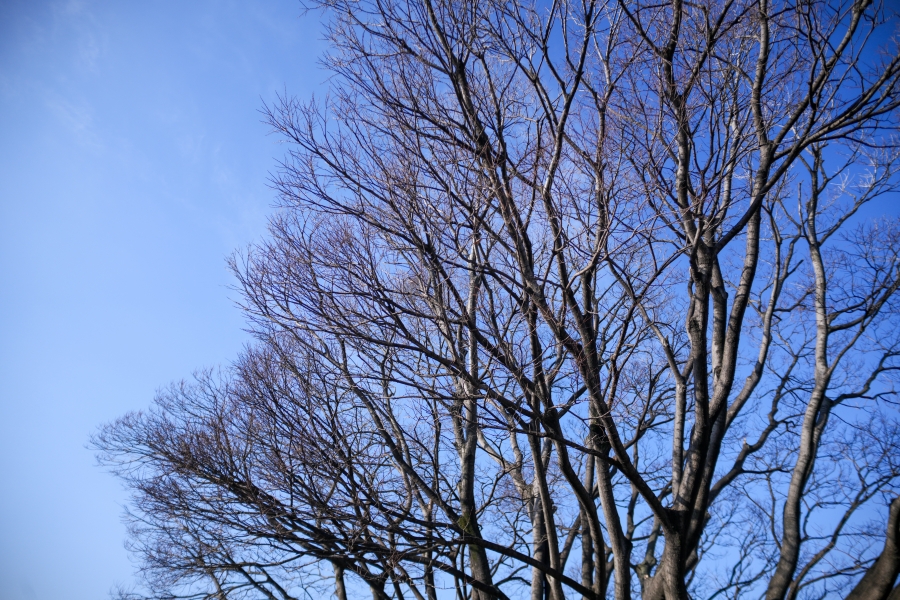 SONY α7CR + SAMYANG Remaster Slim 21mm F3.5