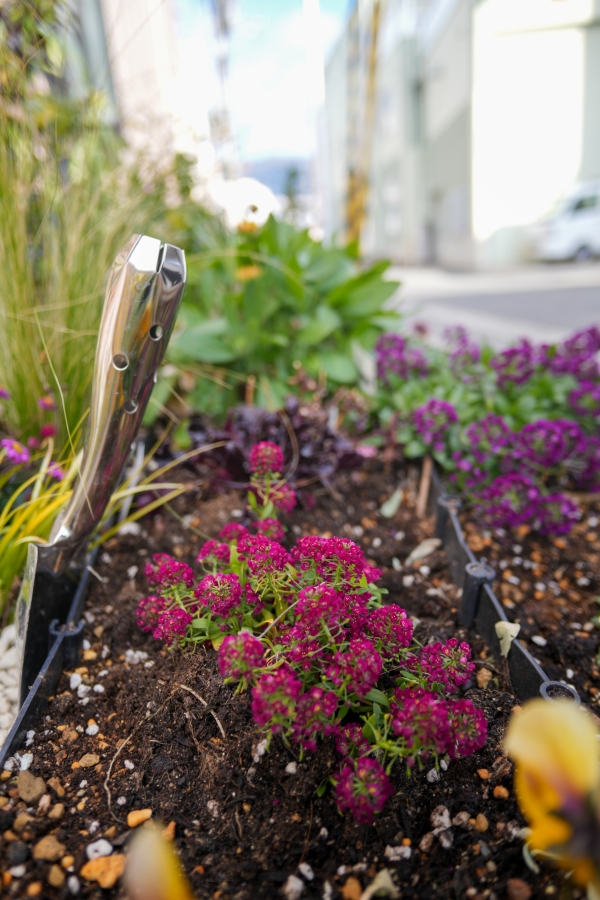 SONY α7CR + SAMYANG Remaster Slim 21mm F3.5