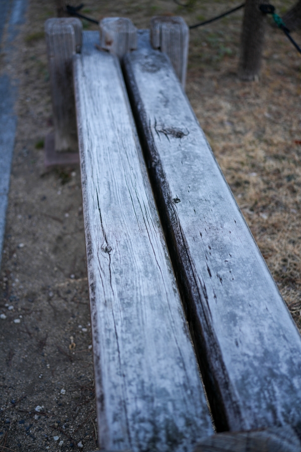 SONY α7CR + FE 40mm F2.5 G