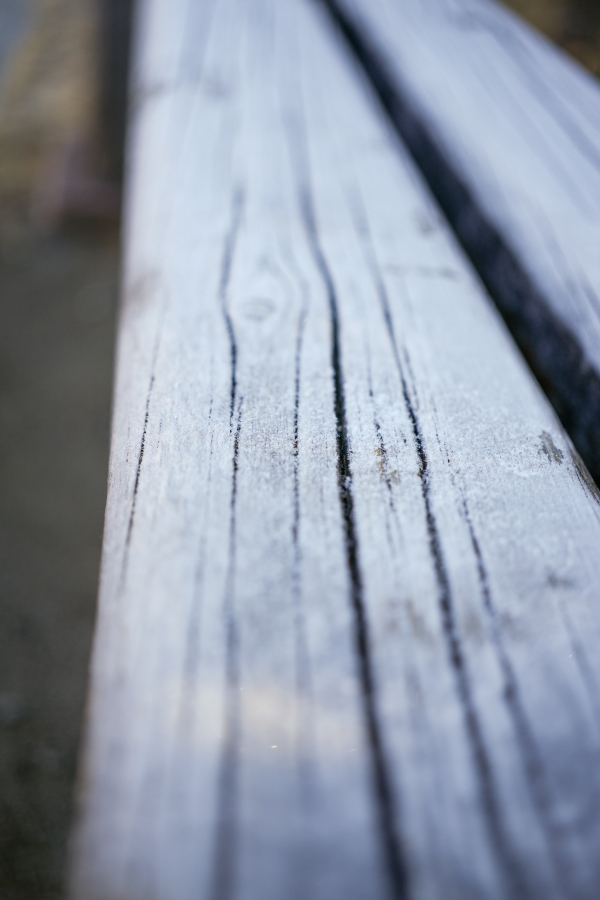 SONY α7CR + FE 40mm F2.5 G