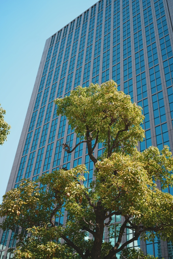 SONY α7CR + FE 40mm F2.5 G