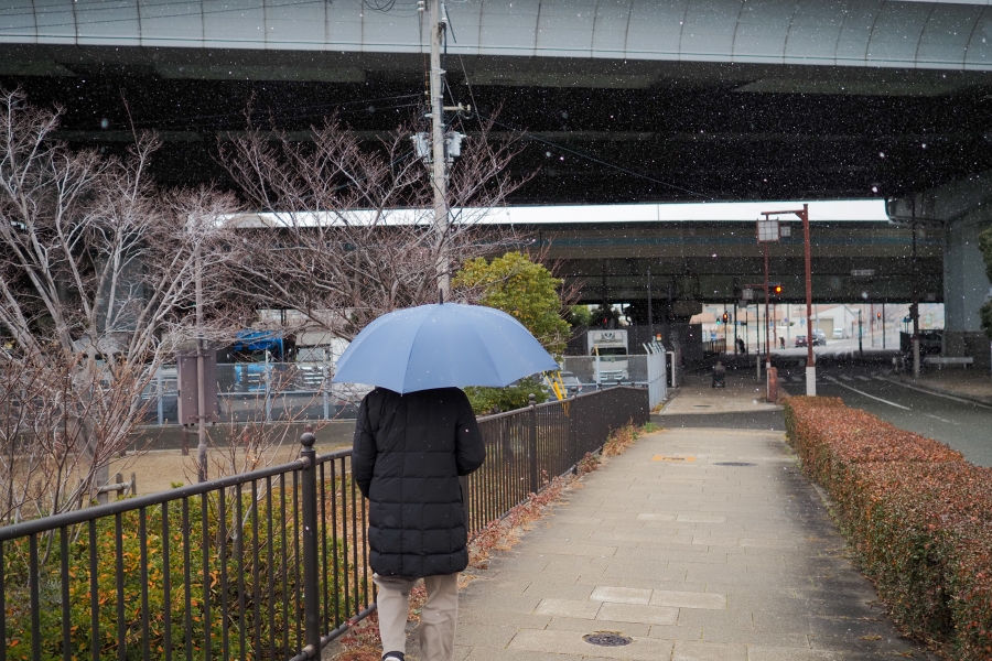 OM SYSTEM OM-5 Mark II + M.ZUIKO DIGITAL 17mm F1.8II
