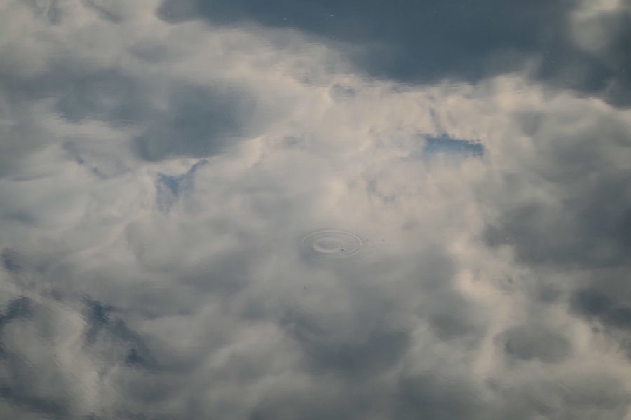 OM SYSTEM OM-5 Mark II + M.ZUIKO DIGITAL ED 75-300mm F4.8-6.7 II