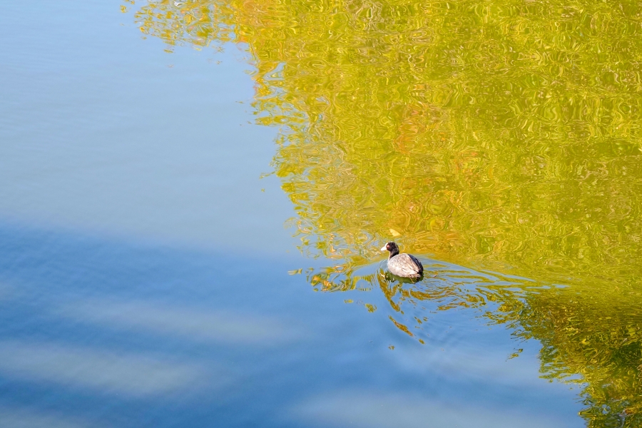 OM SYSTEM OM-5 Mark II + M.ZUIKO DIGITAL ED 12-45mm F4 PRO