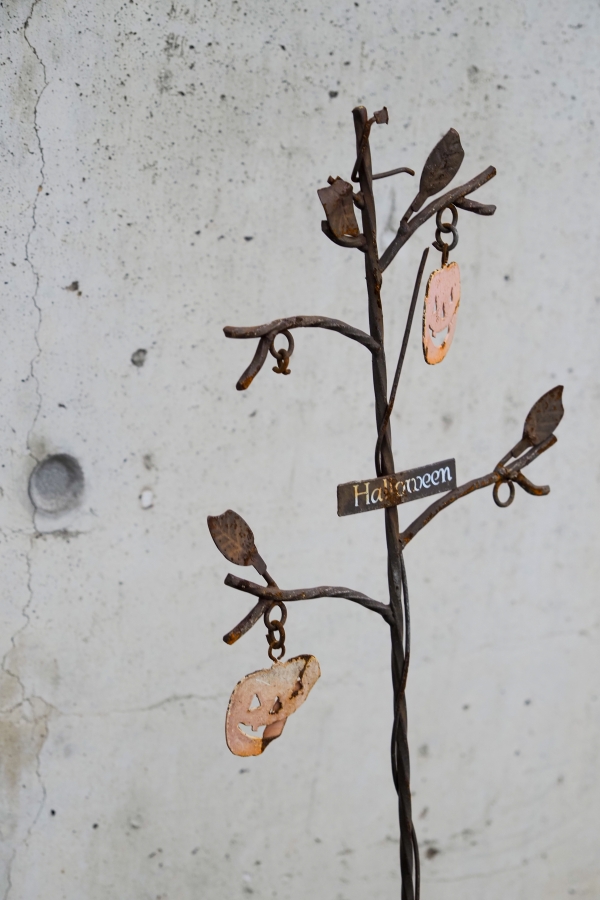 OM SYSTEM OM-5 Mark II + M.ZUIKO DIGITAL ED 12-45mm F4 PRO