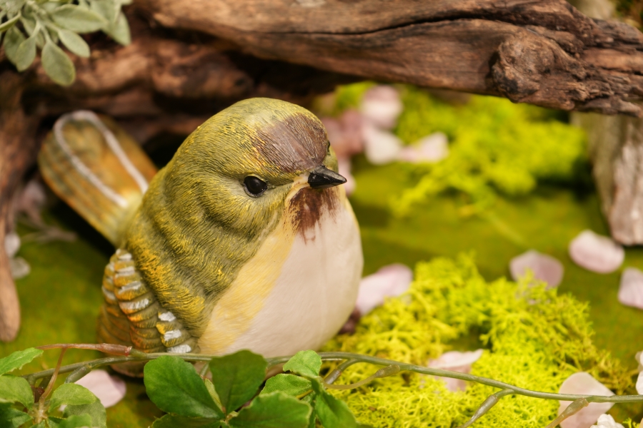 SONY α7CR + FE 28-70mm F3.5-5.6 OSS II