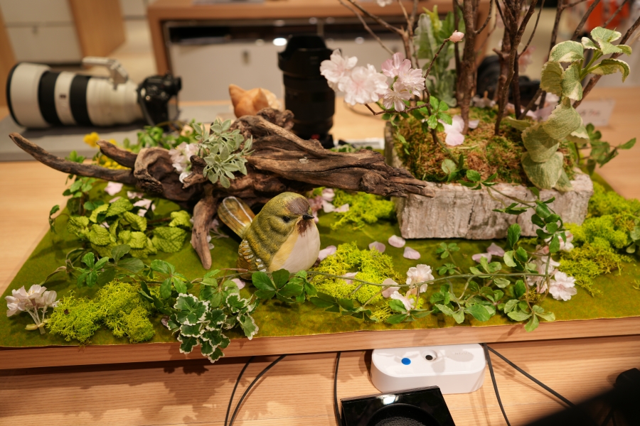 SONY α7CR + FFE 28-70mm F3.5-5.6 OSS II