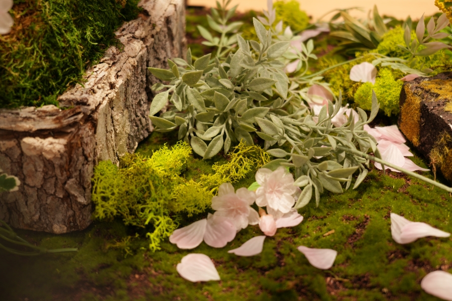 SONY α7CR + FE 28-60mm F4-5.6