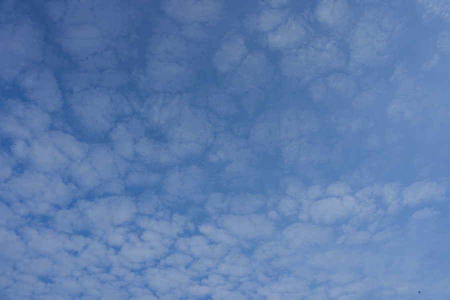 SONY α1 II + FE 24-70mm F2.8 GM II