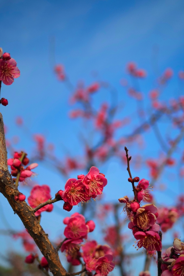 OM SYSTEM OM-5 Mark II + M.ZUIKO DIGITAL 17mm F1.8II