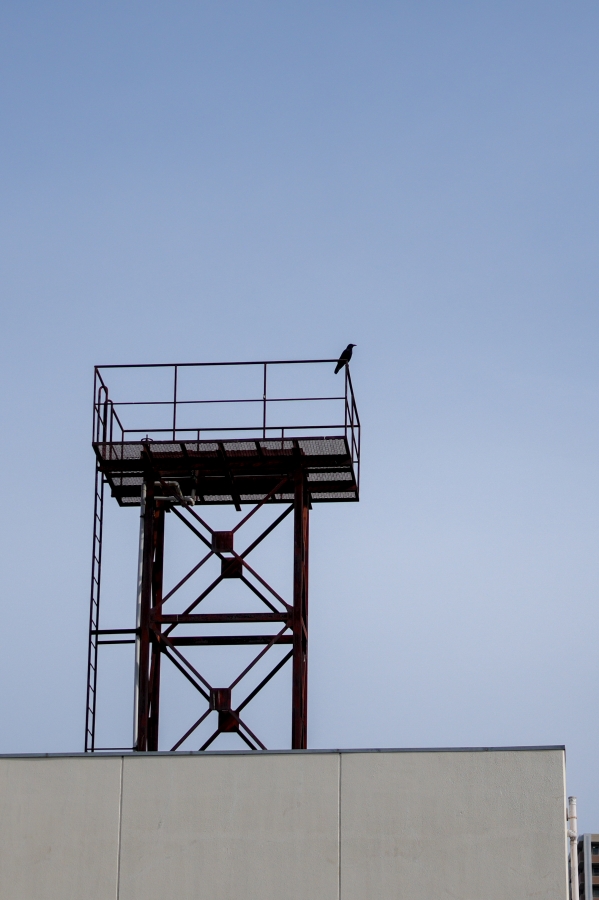 SONY α7CR + Sonnar T* FE 35mm F2.8 ZA