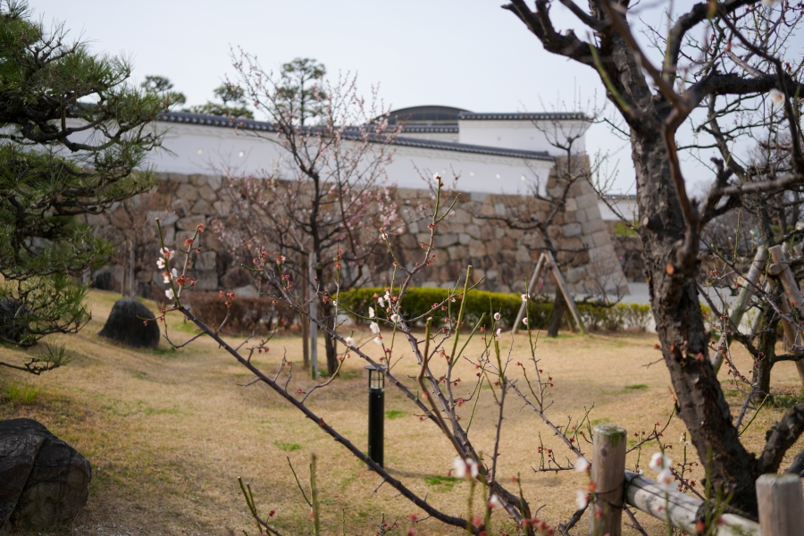 SONY α7CR + Sonnar T* FE 35mm F2.8 ZA