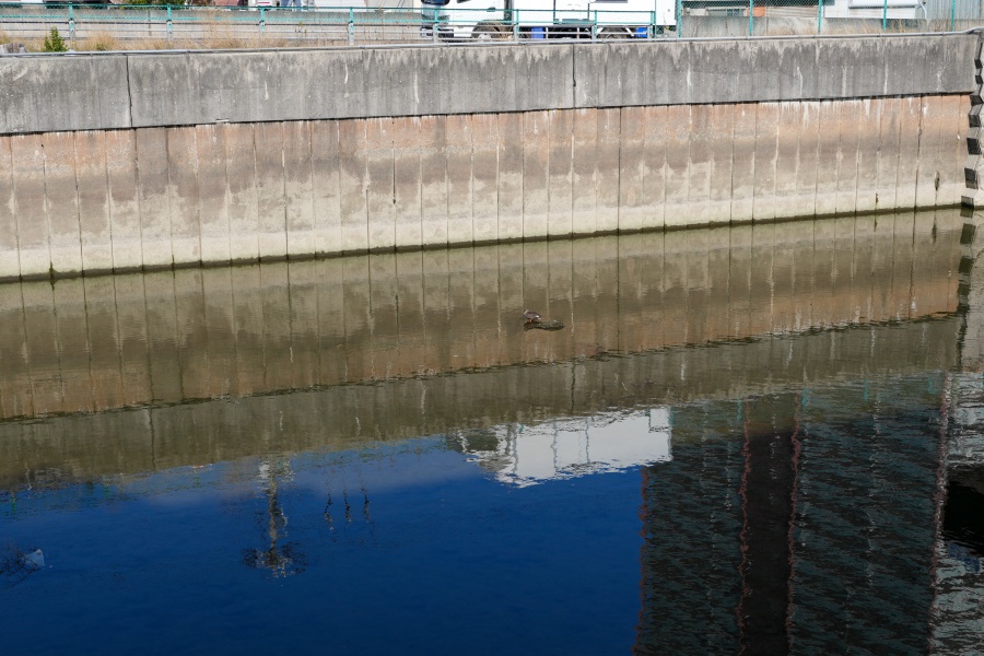 SONY α7CR + FE 16-35mm F4 G