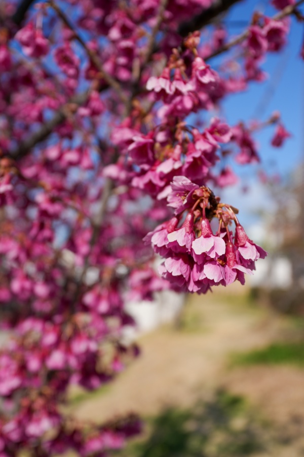 SONY α7CR + FE 16-35mm F4 G