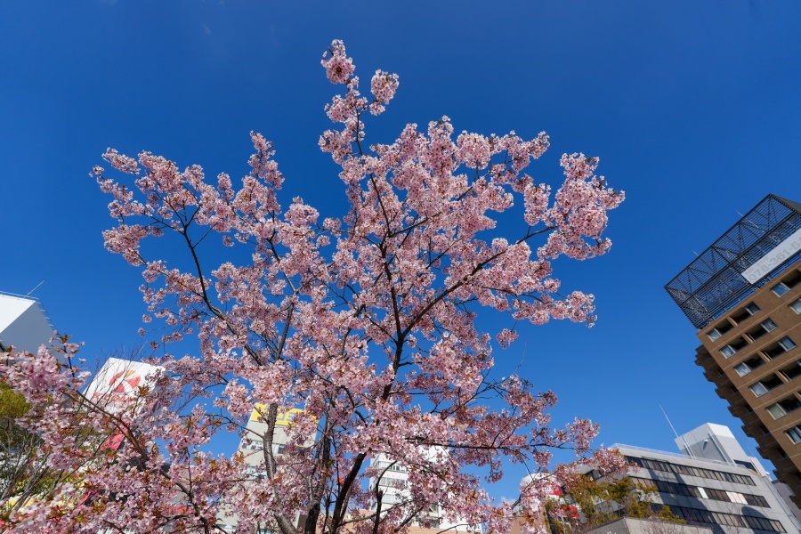 SONY α7CR + FE 16-35mm F4 G