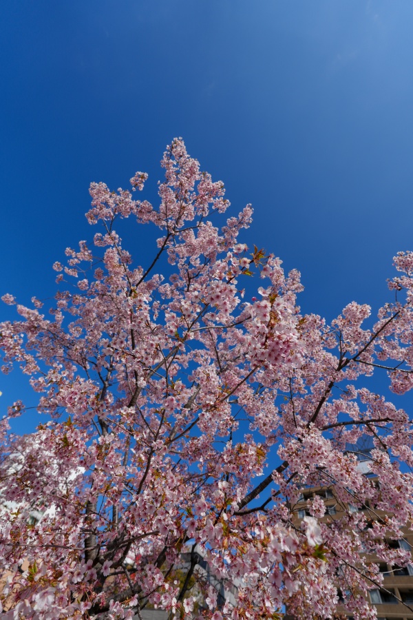 SONY α7CR + FE 16-35mm F4 G