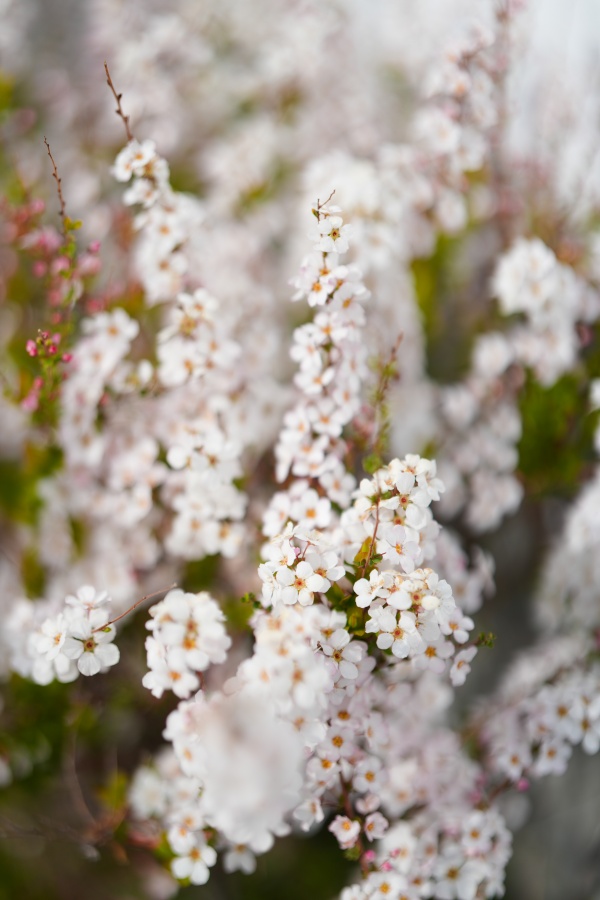 SONY α7CR + FE 50mm F1.4 GM