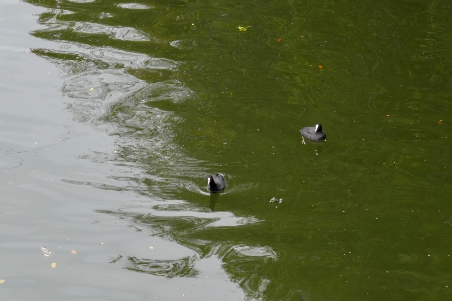 SONY α7CR + FE 28-60mm F4-5.6