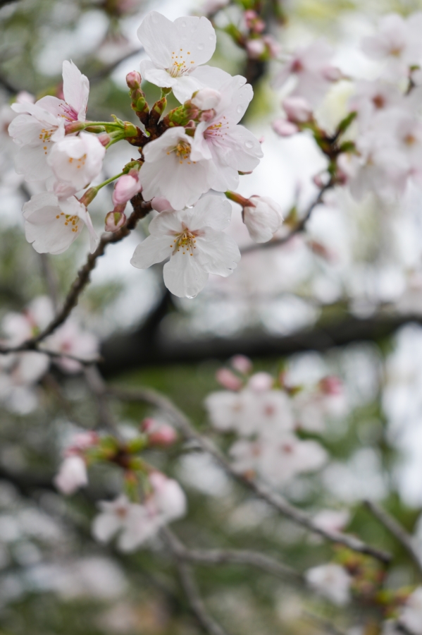 SONY α7CR + FE 28-60mm F4-5.6