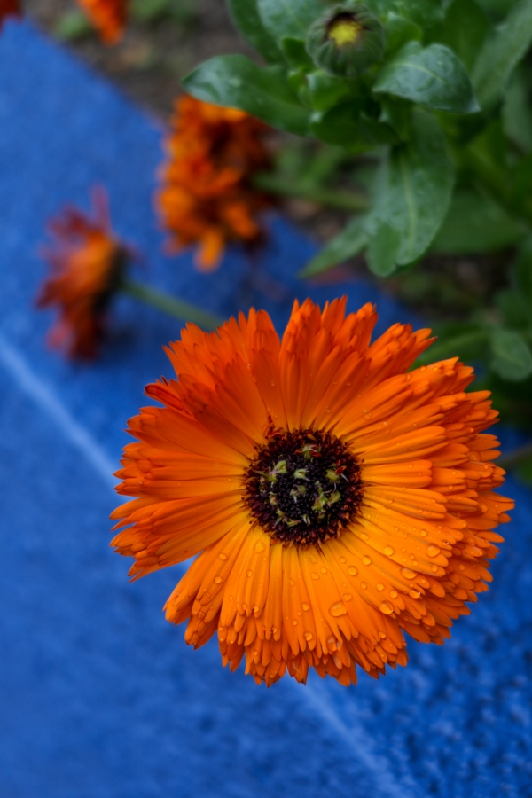 SONY α7CR + FE 28-60mm F4-5.6