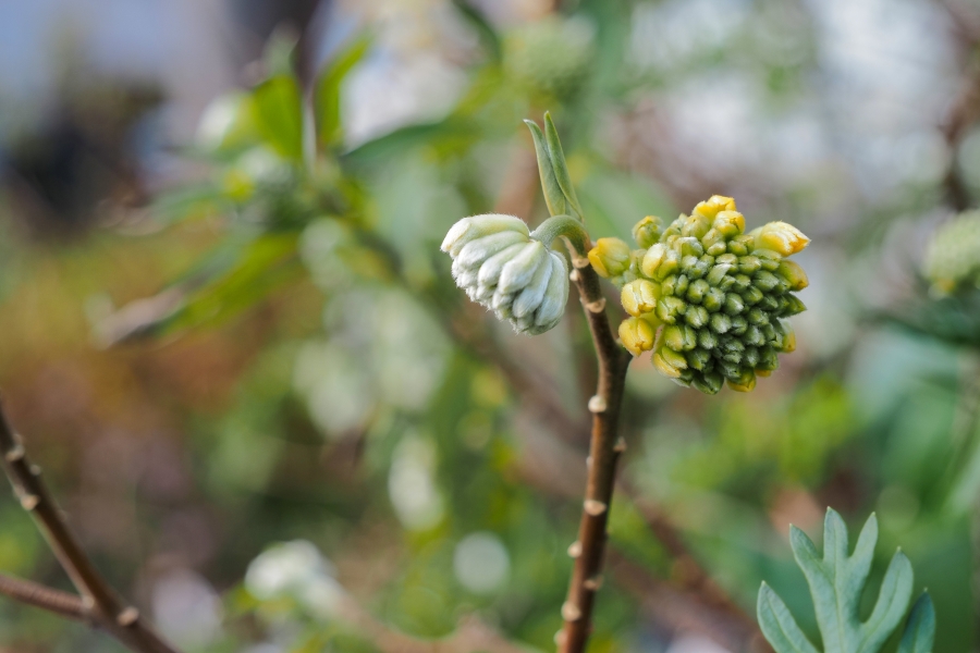 OM SYSTEM OM-5 Mark II + M.ZUIKO DIGITAL ED 12-45mm F4 PRO