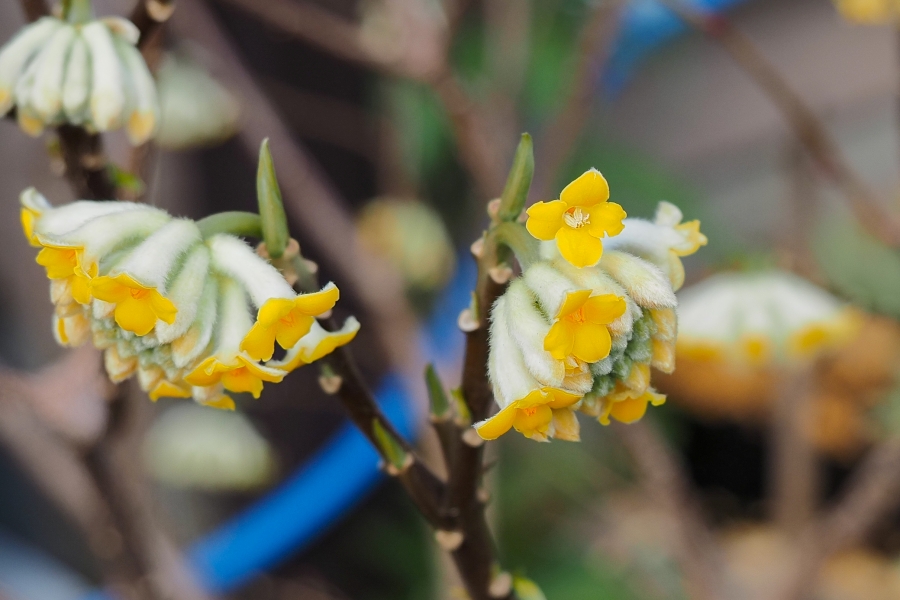 OM SYSTEM OM-5 Mark II + M.ZUIKO DIGITAL ED 12-45mm F4 PRO