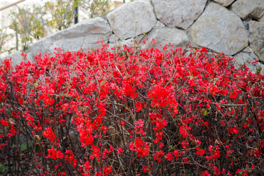 OM SYSTEM OM-5 Mark II + M.ZUIKO DIGITAL 25mm F1.8 II