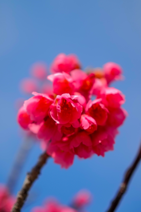 OM SYSTEM OM-5 Mark II + M.ZUIKO DIGITAL 25mm F1.8 II