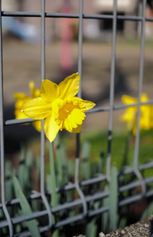 OM SYSTEM OM-5 Mark II + M.ZUIKO DIGITAL 25mm F1.8 II