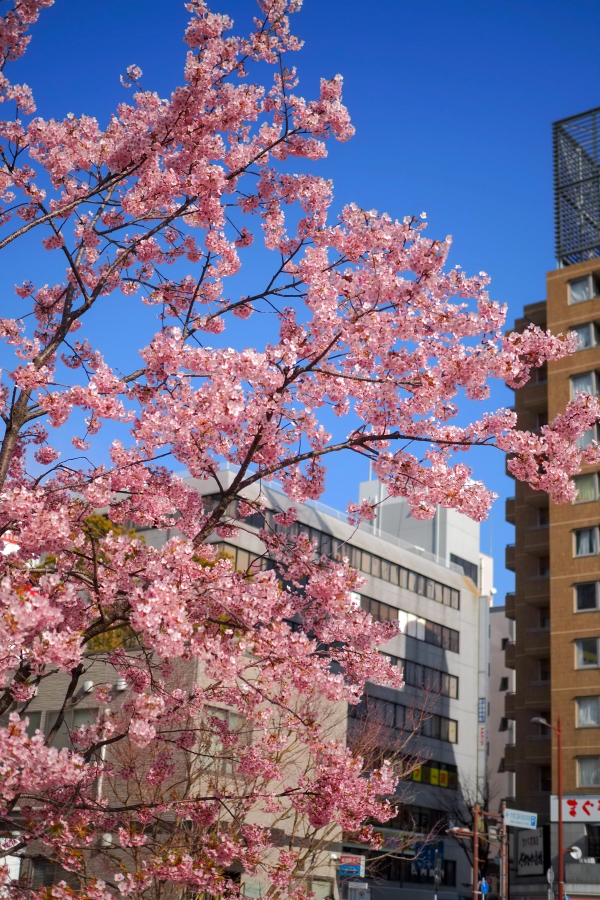 OM SYSTEM OM-5 Mark II + M.ZUIKO DIGITAL 25mm F1.8 II