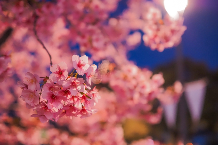 OM SYSTEM OM-5 Mark II + M.ZUIKO DIGITAL 25mm F1.8 II