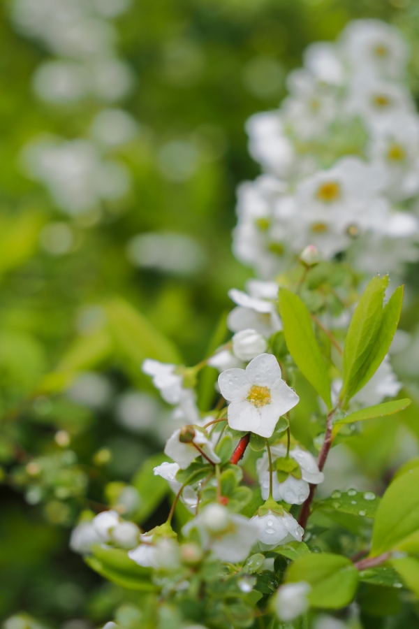 OM SYSTEM OM-5 Mark II + M.ZUIKO DIGITAL ED 12-45mm F4 PRO