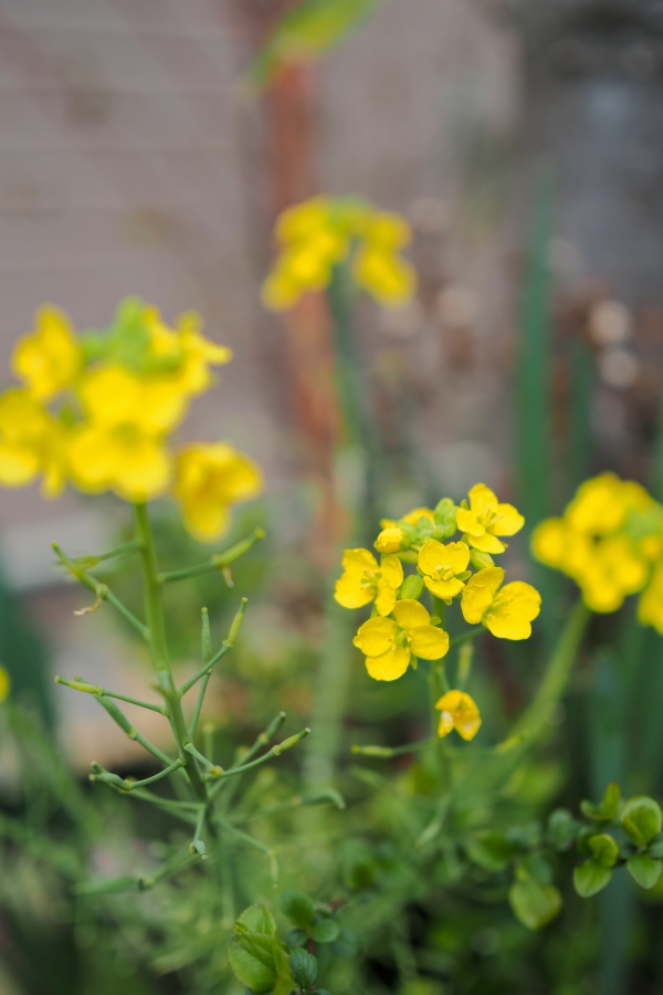 OM SYSTEM OM-5 Mark II + M.ZUIKO DIGITAL 25mm F1.8 II