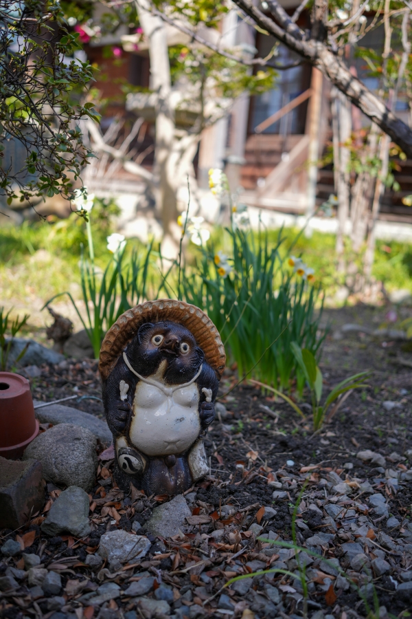 SONY α7CR + Sonnar T* FE 35mm F2.8 ZA