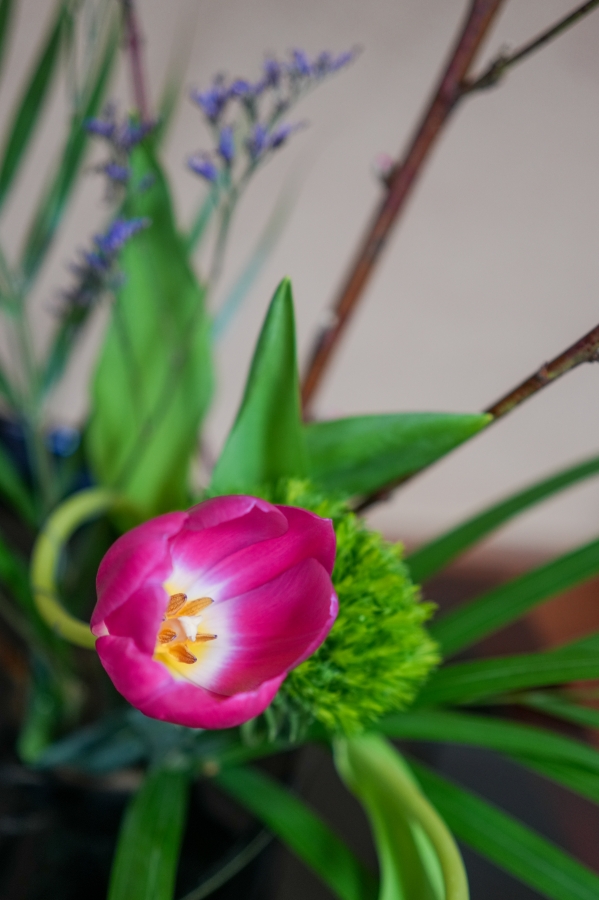 SONY α7CR + Sonnar T* FE 35mm F2.8 ZA