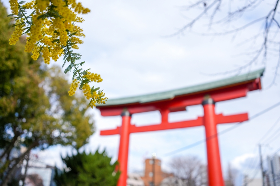 SONY α7CR + Sonnar T* FE 35mm F2.8 ZA