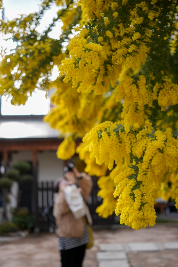 SONY α7CR + Sonnar T* FE 35mm F2.8 ZA