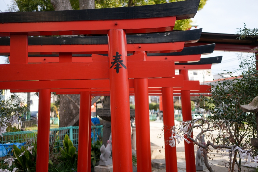 SONY α7CR + Sonnar T* FE 35mm F2.8 ZA