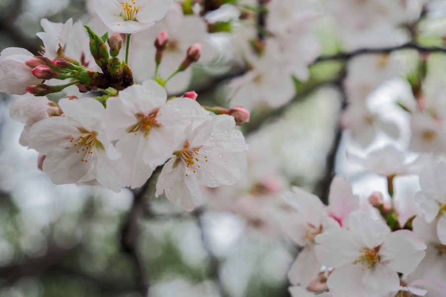 OM SYSTEM OM-5 Mark II + M.ZUIKO DIGITAL ED 12-45mm F4.0 PRO