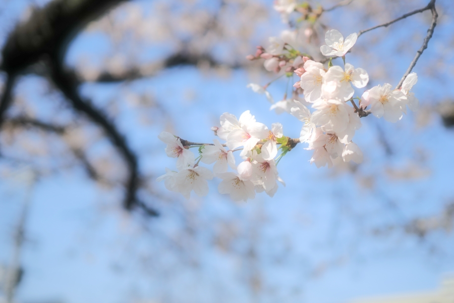 OM SYSTEM OM-3 + M.ZUIKO DIGITAL 25mm F1.8 II