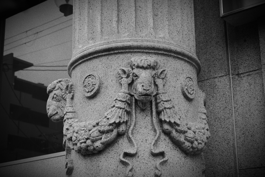 OM SYSTEM OM-3 + M.ZUIKO DIGITAL ED 12-45mm F4.0 PRO