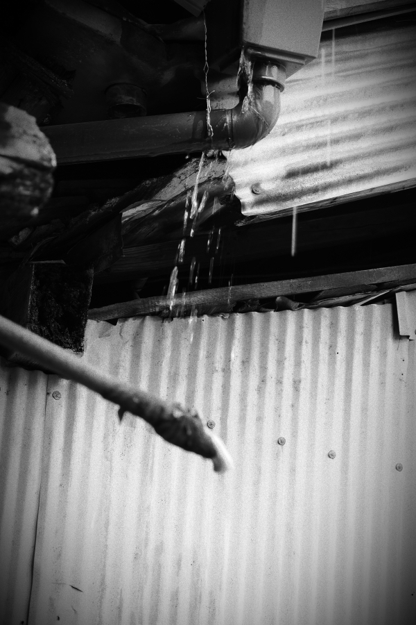 OM SYSTEM OM-3 + M.ZUIKO DIGITAL ED 12-45mm F4.0 PRO